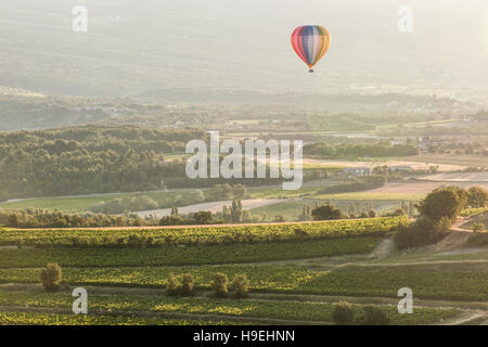 Ein Heißluftballon erhebt sich über die Weinberge der Provence. Stockfoto