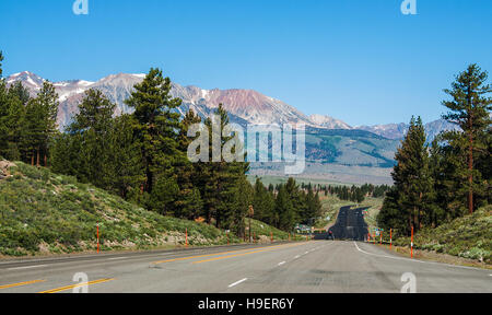 USA-Highway in Yosemite Nationalpark Stockfoto