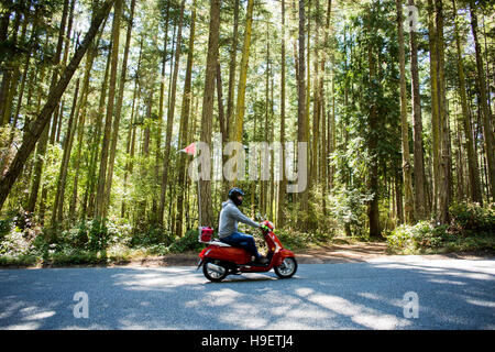 Person Reiten Scooter auf Straße in der Nähe von Wald Stockfoto