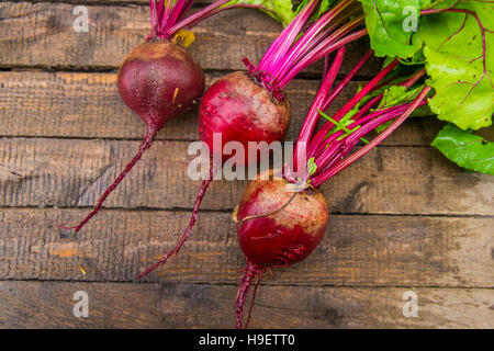 Frischen Rüben auf Holztisch Stockfoto