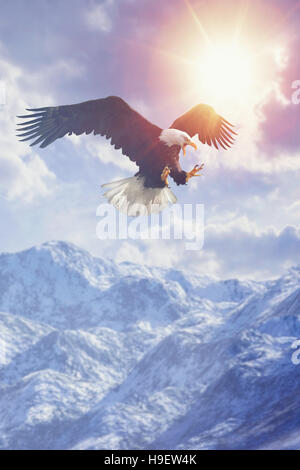 Wilden Adler fliegen im bewölkten Himmel über Gebirge im winter Stockfoto