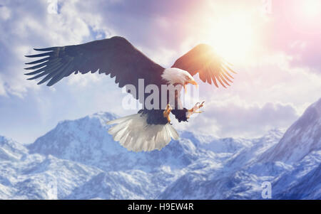 Wilden Adler fliegen im bewölkten Himmel über Gebirge im winter Stockfoto