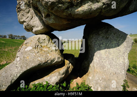 Des Teufels Höhle, die Reste von eine neolithische Grabkammer (oder Dolmen) auf Fyfield unten. Stockfoto