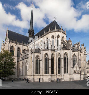 Peterskirche in Leuven, Belgien. Stockfoto