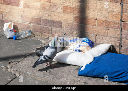 Tauben füttern auf Müll in London, UK Stockfoto