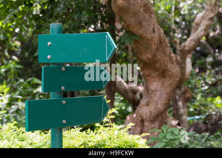 Grüne Richtung Schilder im Park. Stockfoto