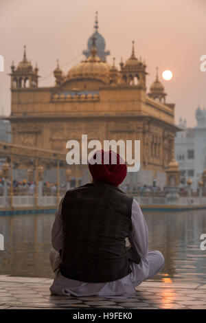 Ein Sikh Pilger vor dem goldenen Tempel, Amritsar, Punjab, Nord-Indien, Indien Stockfoto