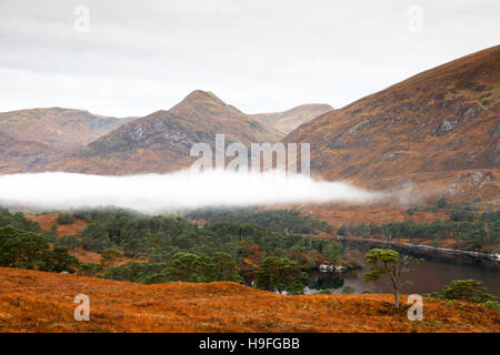 Herbstfärbung und einer Schicht aus Nebel über dem Loch Affric, Inverness-Shire, Schottland, fotografiert im Oktober. Stockfoto