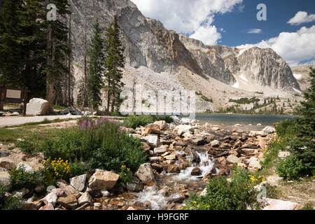 See-Marie, Snowy Range, Medicine Bow Nation Wald Stockfoto