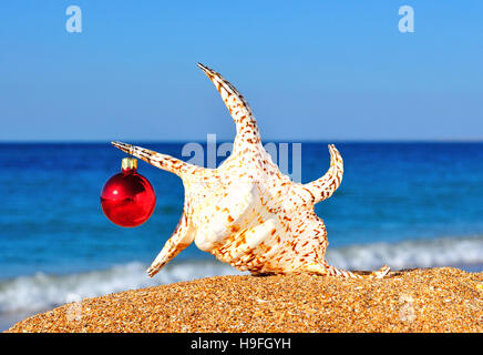 Weihnachten-Muschel am Strand gegen blauen Ozean Stockfoto