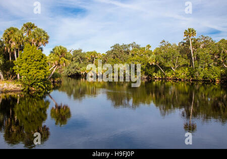 Wilden unberührten tropischen Myakka River bei Snook Haven in Sarasota County in Venice FLorida Stockfoto