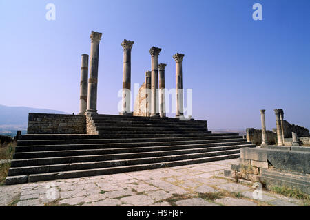 Marokko, Volubilis, antike römische Stadt, kapitolinische Tempelsäulen Stockfoto