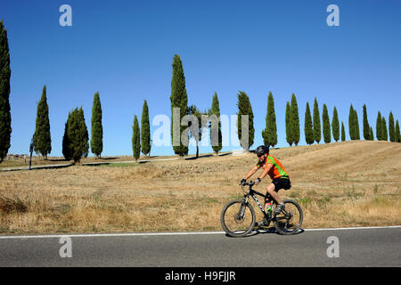 Italien, Toskana, Crete Senesi, Straßen- und Zypressen, Fahrrad Stockfoto