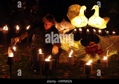 Brände sind im Garten Feuer beleuchtet die fünf Goldringe von Twelve Days of Christmas, während einer Vorschau für Weihnachten in Kew Gardens, London abbildet. Stockfoto