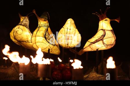 Brände sind im Garten Feuer beleuchtet die fünf Goldringe von Twelve Days of Christmas, während einer Vorschau für Weihnachten in Kew Gardens, London abbildet. Stockfoto