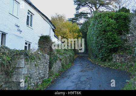 Weiß getünchten Häuschen befindet sich auf einer Landstraße in der Schinken von Devon, England, UK Stockfoto