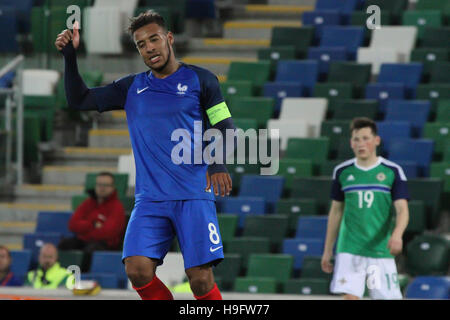 Nationale Fußball-Stadion im Windsor Park, Belfast. 11. Oktober 2016. Nordirland 0 France 3 (UEFA U21-Europameisterschaft - Qualifikation Spiel Gruppe C). Corentin Tolisso (8-blau) für Frankreich im Einsatz. Stockfoto