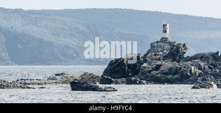 Kleiner Leuchtturm Leuchtfeuer auf Felsen in Bona Vista richtige (Strand), Neufundland. Stockfoto