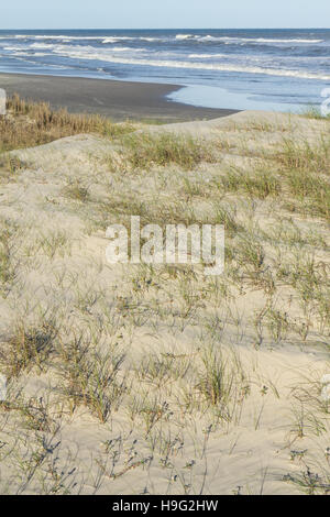 Vegetation über Dünen an einem sonnigen Tag mit Wellen und blauen Himmel bei Torres, Rio Grande do Sul. Stockfoto