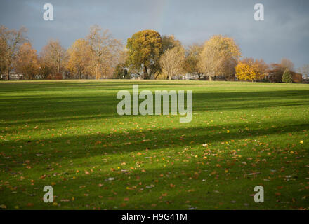 Brockwell Park in London 22. November 2016 - 08:30 Stockfoto