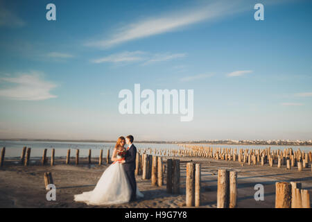 Elegante stilvolle glückliche Brautpaar, Braut, wunderschöne Bräutigam auf dem Hintergrund des Meeres und des Himmels