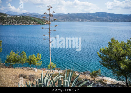 Blick vom Hügel in der Stadt Nafplion, Griechenland Stockfoto