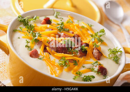 Kartoffelcremesuppe mit Speck und Käse in einem Topf-Makro. horizontale Stockfoto