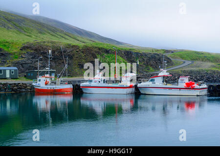 BAKKAGERDI, Island - 14. Juni 2016: Blick auf den Hafen von Bakkagerdi, in der Region Ost Fjorde, Island Stockfoto