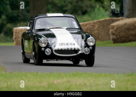 Simon Durling an Bord ein 1960 Austin Healey Sebring Sprite am Chateau Impney Hillclimb 2016 Stockfoto