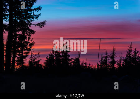 Schöne Magenta Sonnenuntergang Pinien vor lebendigen Himmel Crater Lake Oregon Stockfoto