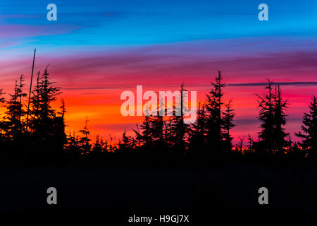 Schöne Magenta Sonnenuntergang Pinien vor lebendigen Himmel Crater Lake Oregon Stockfoto