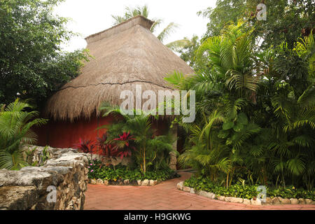 Urige Hütte oder Haus aus natürlichen Materialien hergestellt & Strohdach, Cozumel, Halbinsel Yucatan, Quintana Roo, Mexiko. Stockfoto