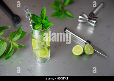 Porträt von frischen Mojito Glas mit Barmann Werkzeuge Stockfoto