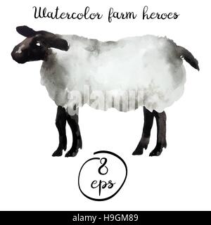 Vektor Bauernhof Tier Aquarell isoliert auf weißem Hintergrund. Vektor-Schafe für Kunst, Logo, Banner, Emblem und andere Stock Vektor
