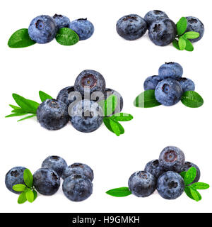 Heidelbeeren set Sammlung. Frische Heidelbeeren isoliert auf weißem Hintergrund. Stockfoto