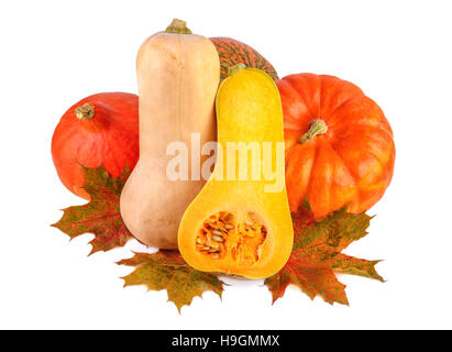 Bunte Kürbisse mit fallen Blätter. Verschiedenen Squash isoliert auf weiss. Stockfoto