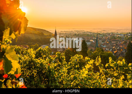 Ribeauvillé, in der Nähe von Colmar, Haut-Rhin, malerisches Dorf, Elsass, Frankreich Stockfoto