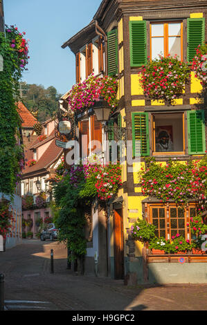 Ribeauvillé, in der Nähe von Colmar, landschaftlich schöne Strecke der Rebe Elsass, Oberrhein, malerisches Dorf, Elsass, Frankreich Stockfoto