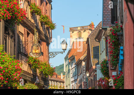 Ribeauvillé, in der Nähe von Colmar, landschaftlich schöne Strecke der Rebe Elsass, Oberrhein, malerisches Dorf, Elsass, Frankreich Stockfoto