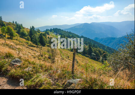 Landschaft des Ballons des Vosges Nature Park, auf dem Hof und Gästehaus Schiessrothried, Elsass, Frankreich Stockfoto