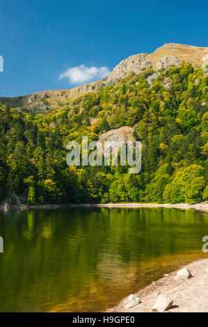 See Schiessrothried, Ballons des Vosges-Naturpark, Elsass, Frankreich Stockfoto