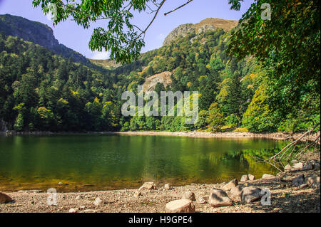 See Schiessrothried, Ballons des Vosges-Naturpark, Elsass, Frankreich Stockfoto