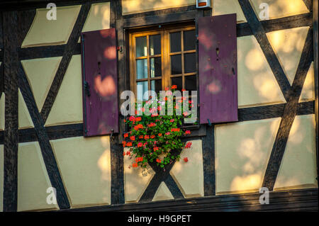 Turckheim, auf die landschaftlich schöne Strecke der Rebe Elsässer, malerischen Dorf, Elsass, Frankreich Stockfoto