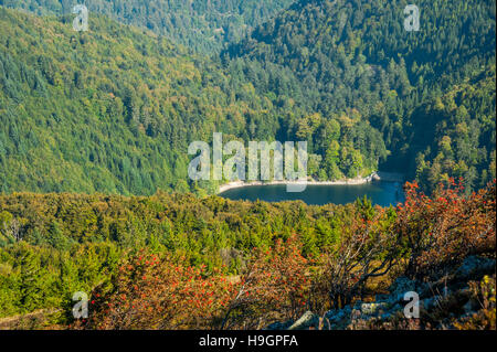 See-Ballon, gesehen vom Berg Grand Ballon, Landschaft der Vogesen, Ballons des Vosges-Naturpark, Elsass, Frankreich Stockfoto