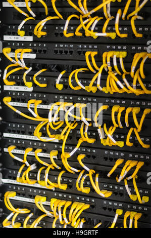 Gelben Ethernet-Kabel organisiert ordentlich in ein Büro-LAN-Patch-Panel für die Netzwerkkonfiguration. Stockfoto