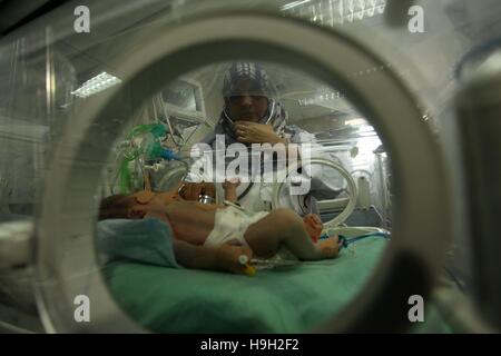 Gaza-Stadt, Gazastreifen, Palästinensische Gebiete. 23. November 2016. Ein-Tag-alte palästinensische siamesischen Zwillingen liegen in einem Inkubator in der Gärtnerei am al-Shifa Hospital in Gaza-Stadt am 23. November 2016 Credit: Ashraf Amra/APA Bilder/ZUMA Draht/Alamy Live News Stockfoto