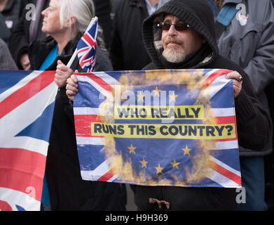 London, UK. 23. November 2016. Pro Brexit Kundgebung vor dem House Of Commons-Credit: Ian Davidson/Alamy Live News Stockfoto