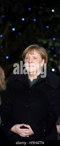 Berlin, Deutschland. 23. November 2016. Bundeskanzlerin Angela Merkel empfängt den Nordmann Weihnachtsbaum der Stadt Boppard in Berlin, Deutschland, 23. November 2016. Foto: Rainer Jensen/Dpa/Alamy Live-Nachrichten Stockfoto