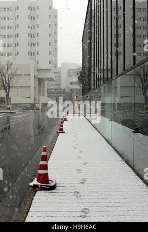 Tsukuba, Japan. 24. November 2016. Unerwartete Schnee in der roten und gelben Blätter-Saison im östlichen Teil der Kanto-Region in Japan. Straßen sind mit dem ersten Schnee mit der Fußgängerzonen Fußspuren im Schnee, in der Wissenschaft der Tsukuba bedeckt. Bildnachweis: Alexander Zaboronok/Alamy Live-Nachrichten Stockfoto