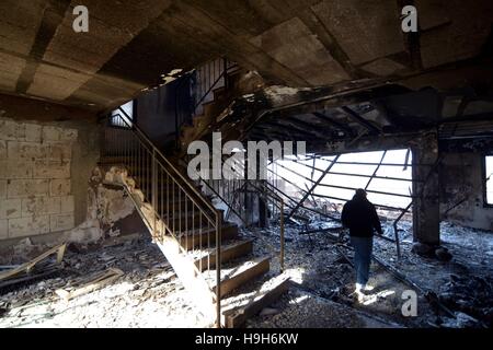 Zichron Yaakov, Israel. 23. November 2016. Feuer-Schaden ist in Zichron Ya'akov, Israel, 23. November 2016 gesehen. Über Nacht Dienstag, ca. 30 Feuerwehr-Mannschaften und 12 militärische Feuerwehr Besatzungen gearbeitet, um eine Flamme wegzudrücken, die in der Nähe von Zichron Ya'akov, einer Stadt zwischen Tel Aviv und der nördlichen Stadt Haifa ausbrach. Die Buschfeuer beschädigt Dutzende von Häusern und mindestens zehn Menschen, darunter vier Kleinkinder. © JINI/Xinhua/Alamy Live-Nachrichten Stockfoto